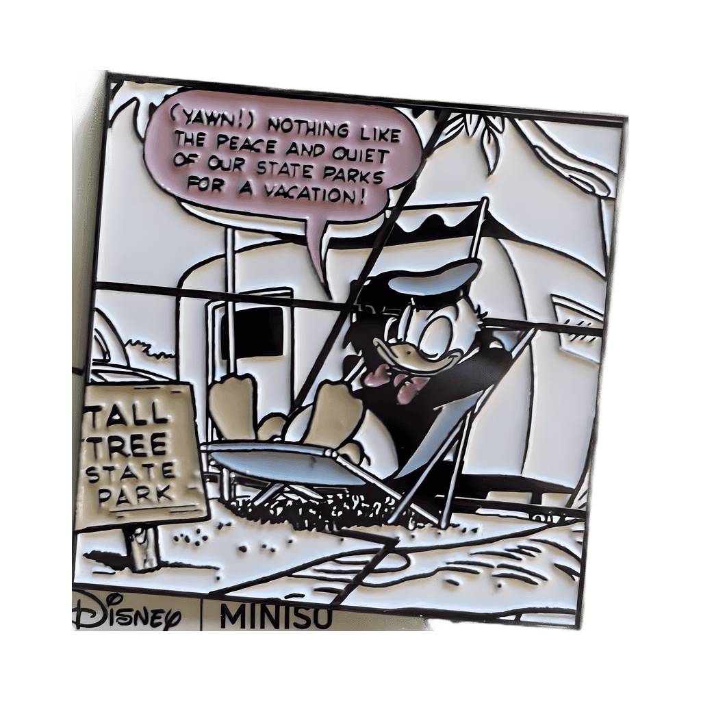 Donald Duck Vacationing at State Park Disney pin