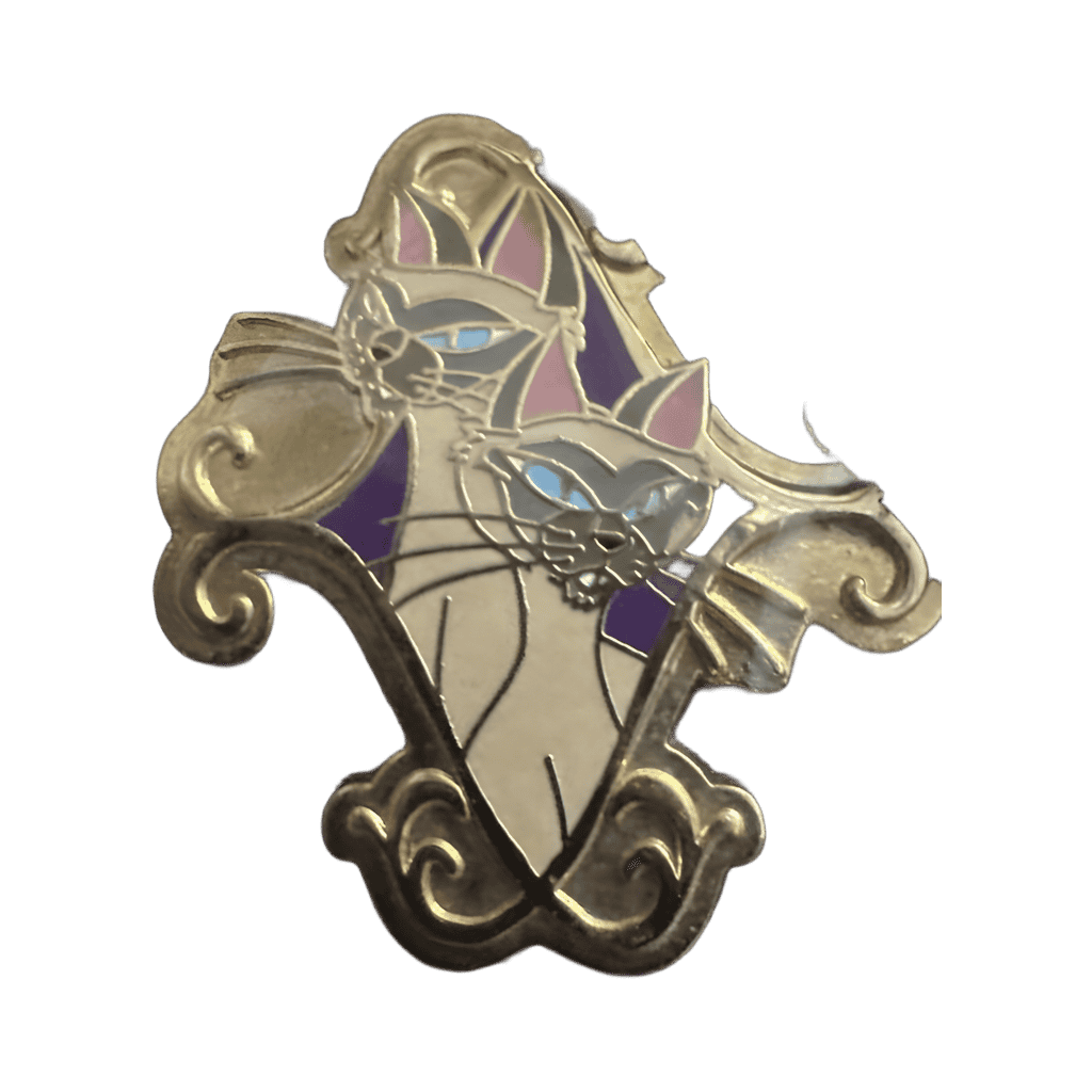 Si & Am Disney pin
