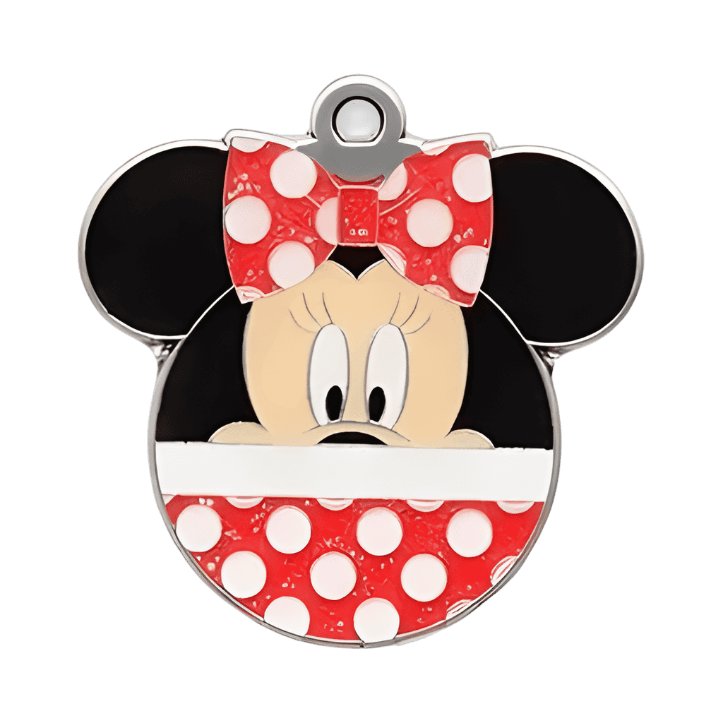 Minnie Disney pin