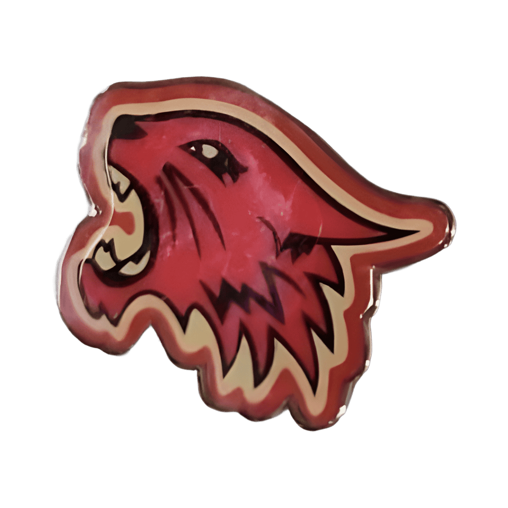 High School Musical Wildcat - High School Musical On Tour Disney pin
