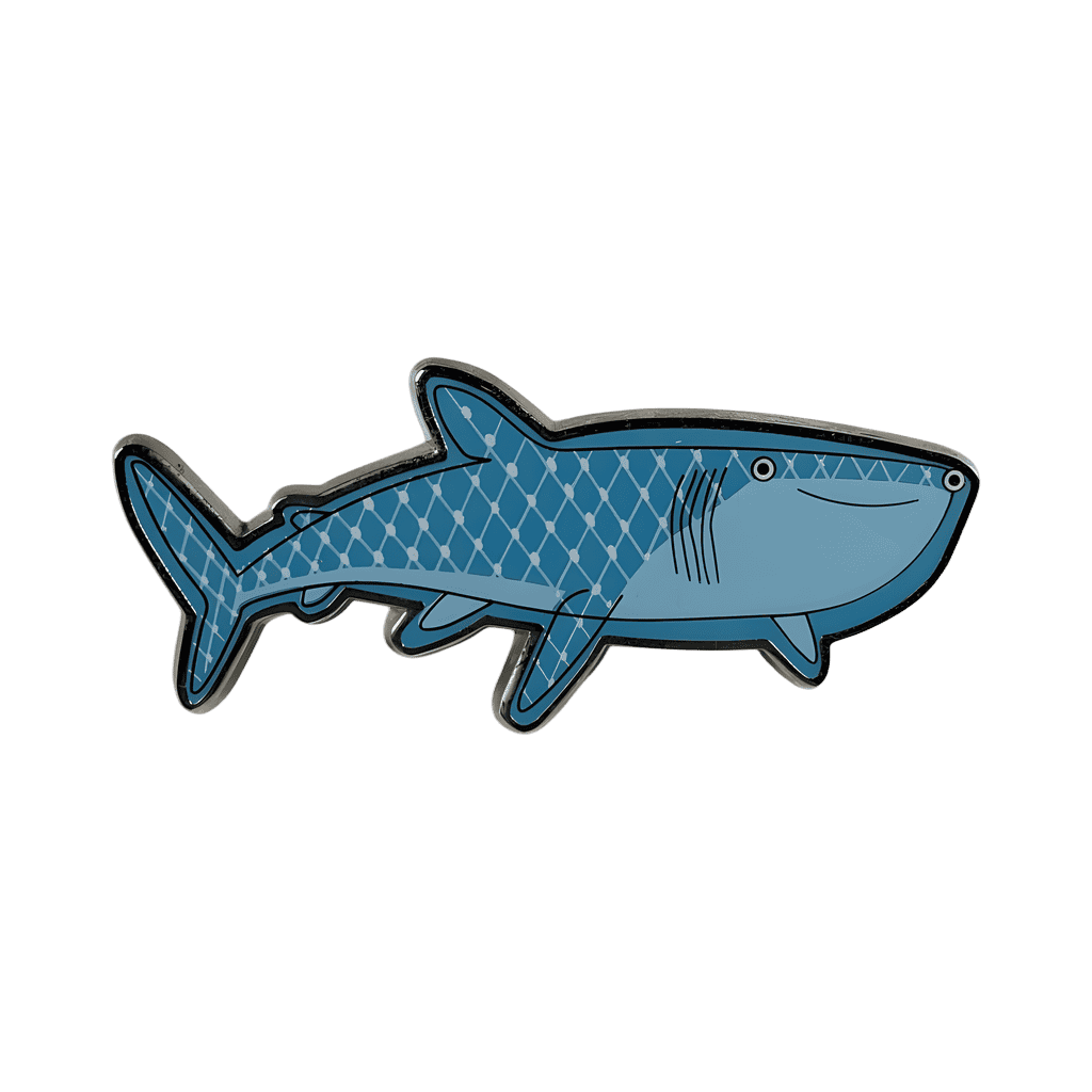 Destiny Disney pin