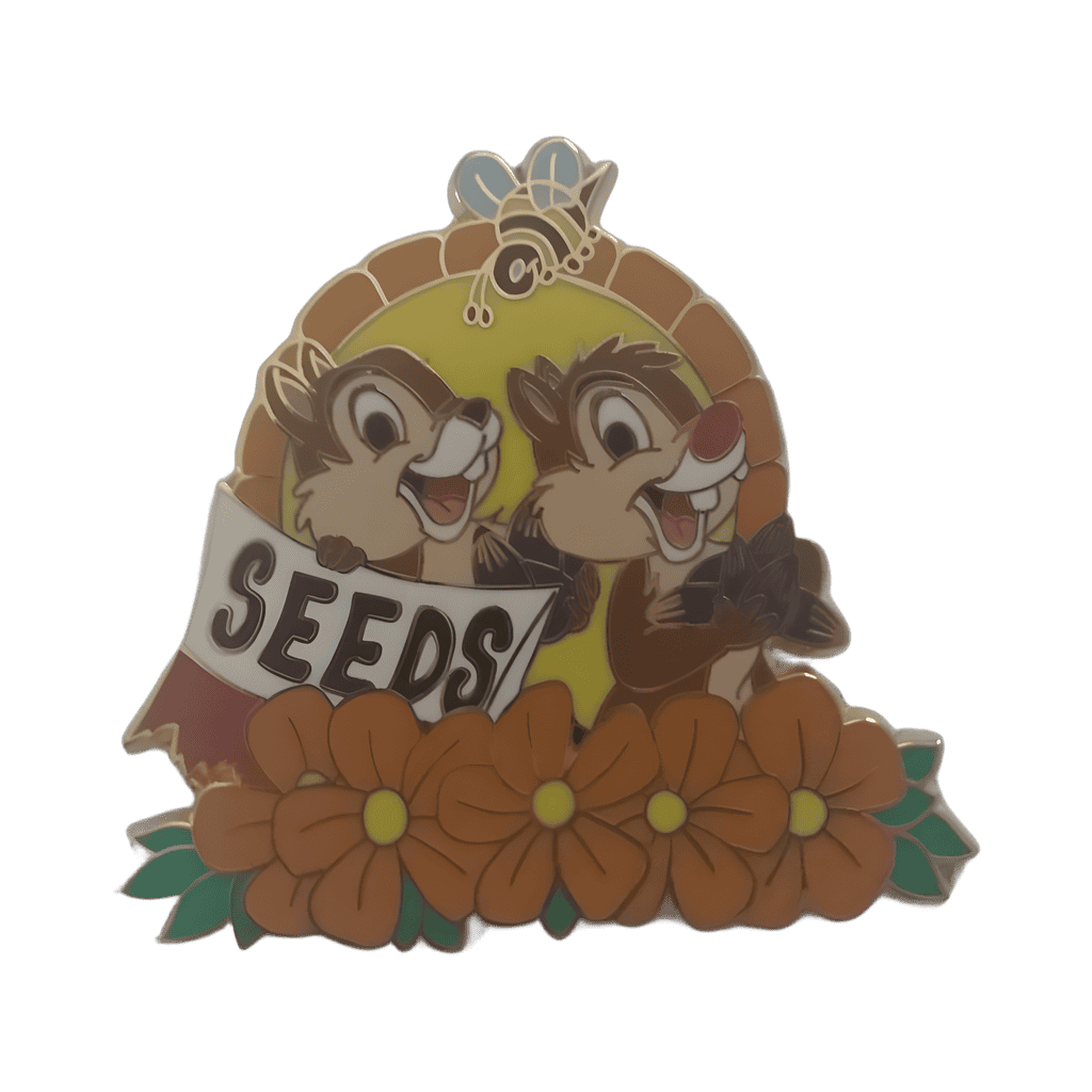 Chip & Dale Disney pin