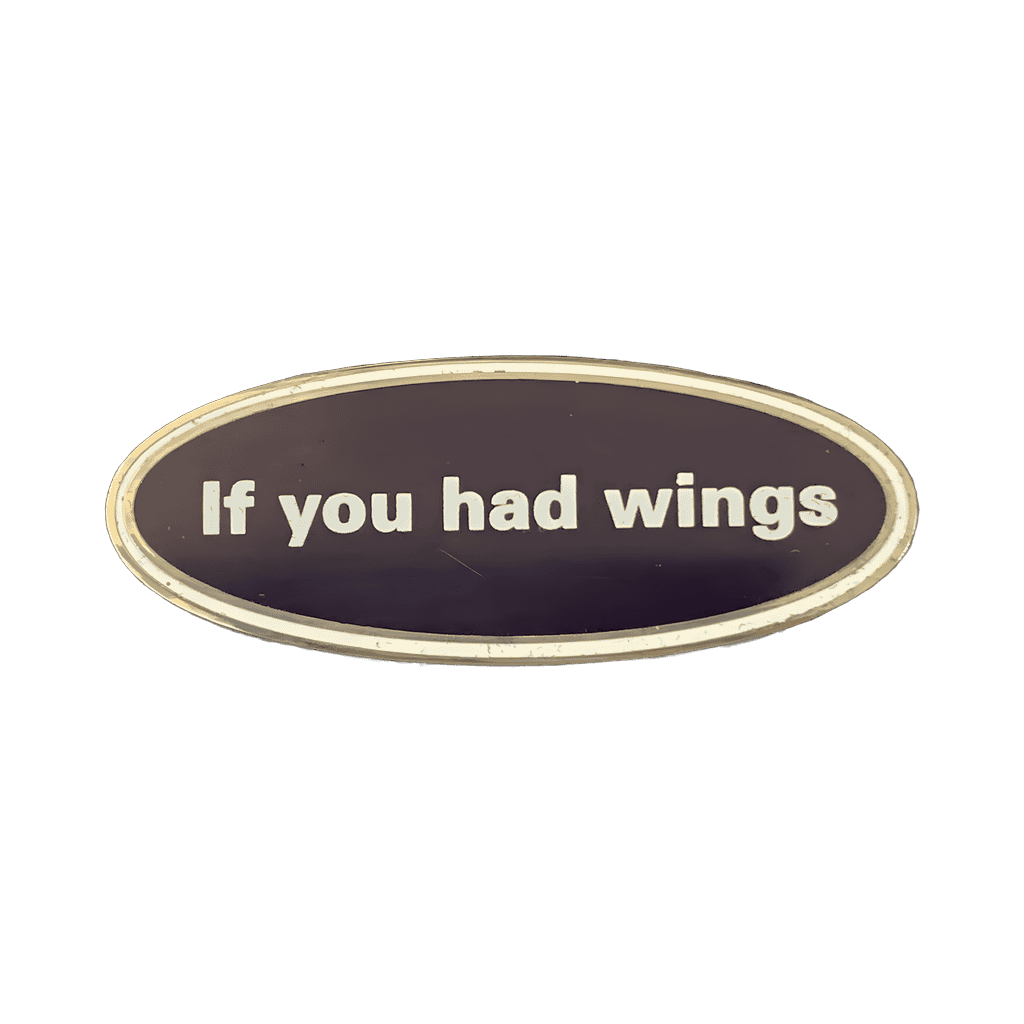 If You Had Wings Disney pin