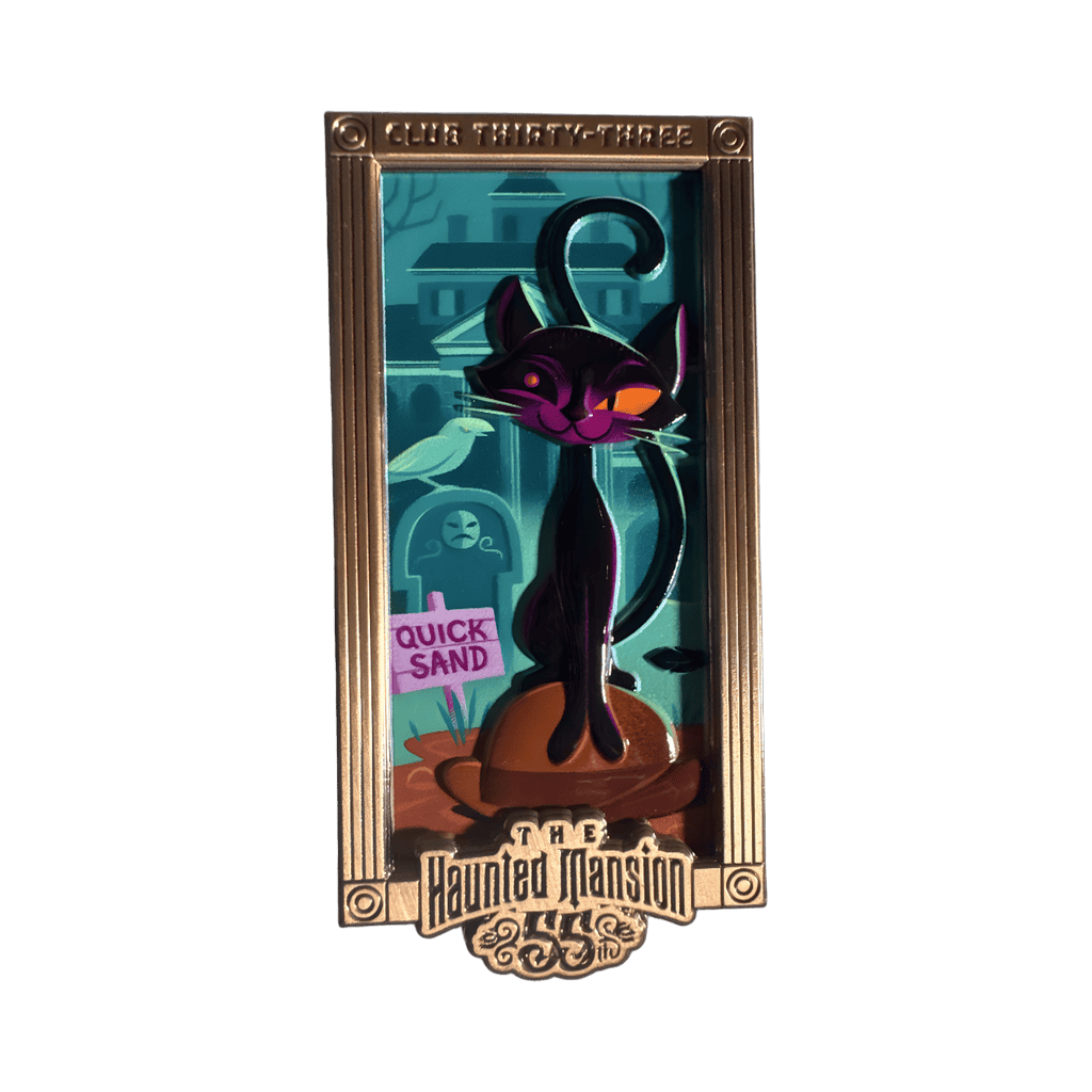 The One-Eyed Black Cat Disney pin