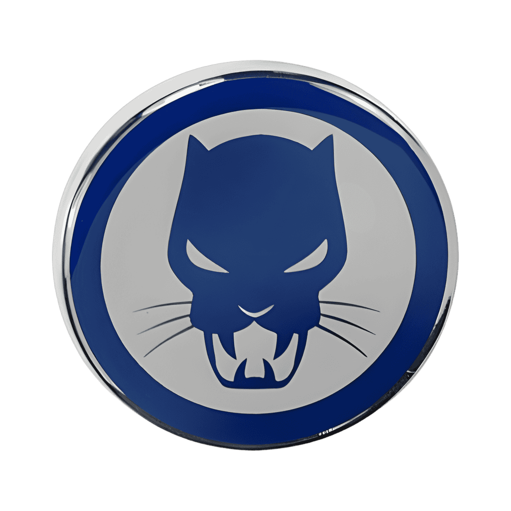 Black Panther Disney pin