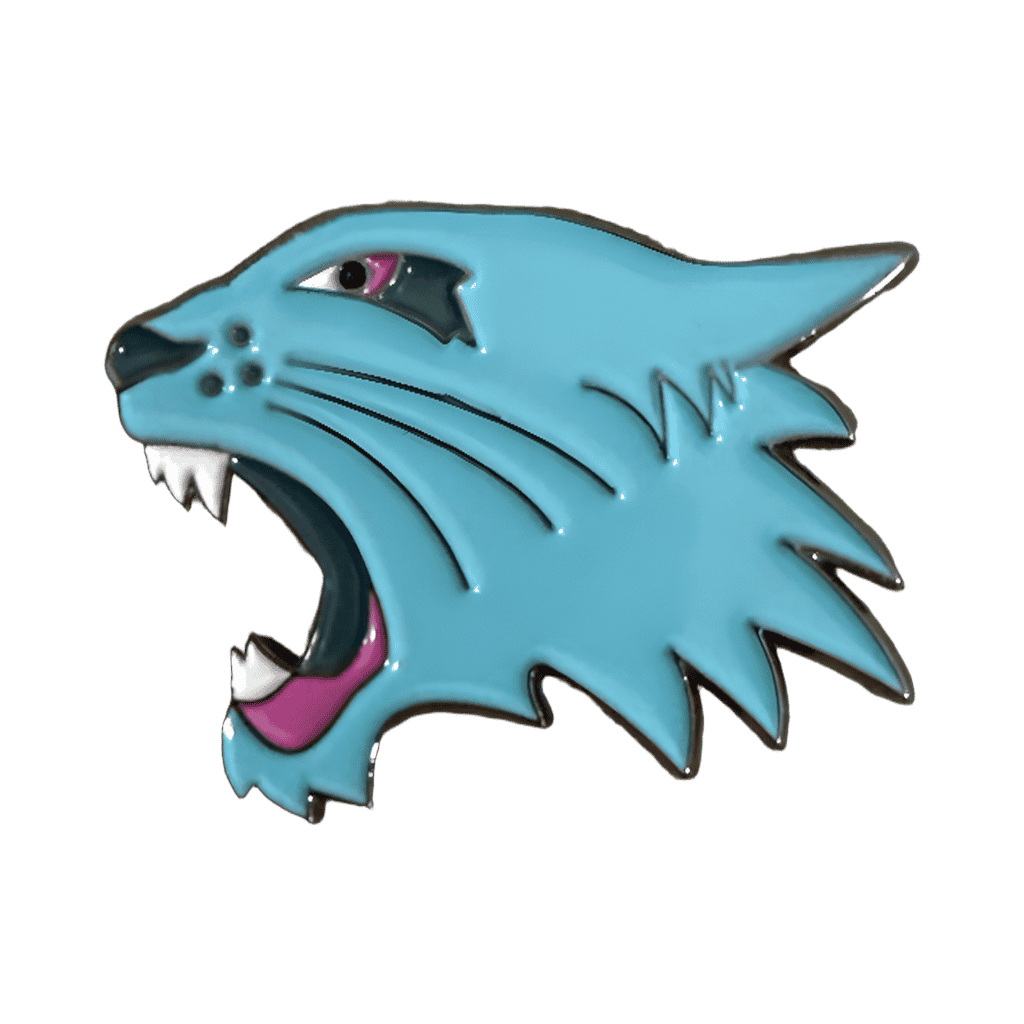 High School Musical Wildcat Disney pin