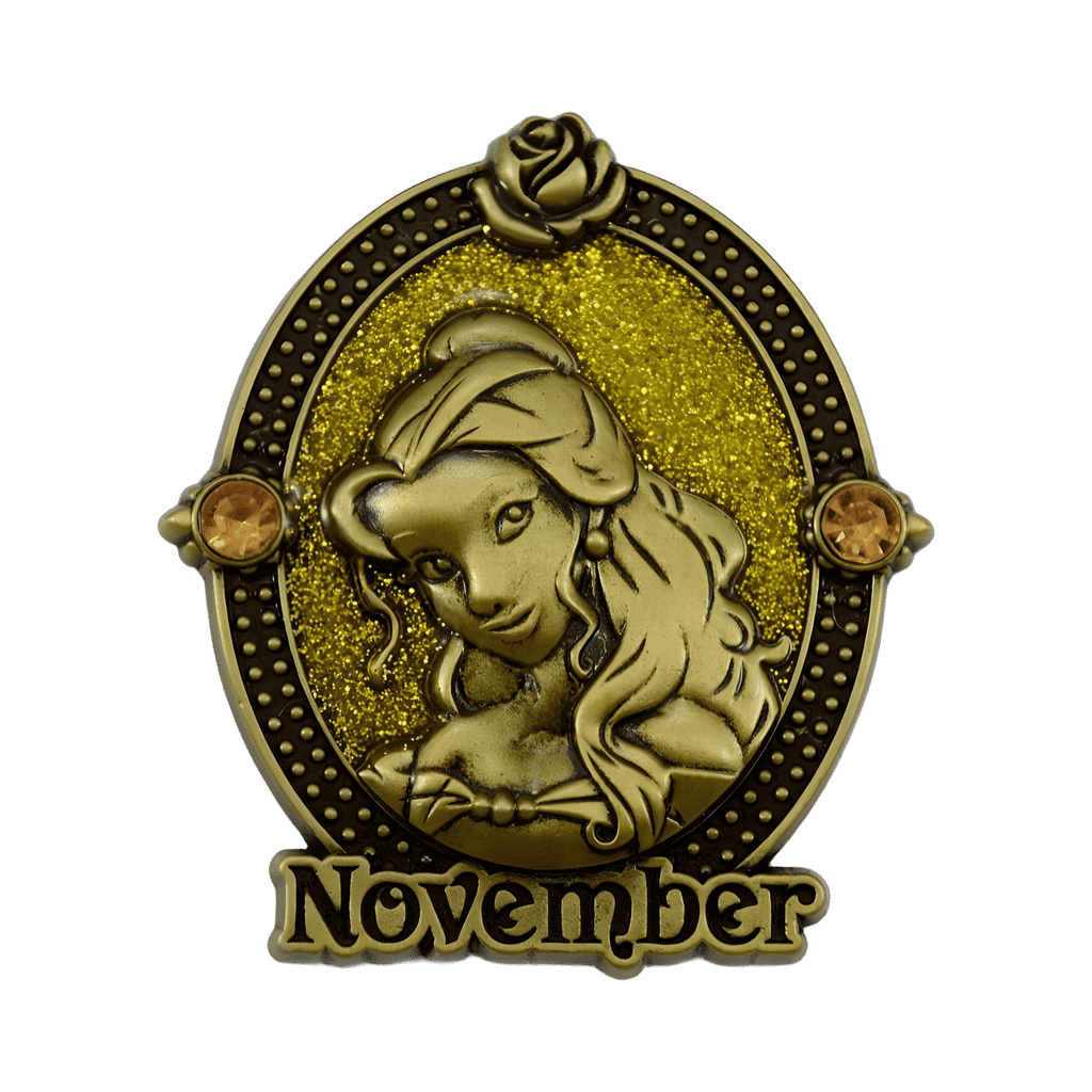 Belle - November Disney pin