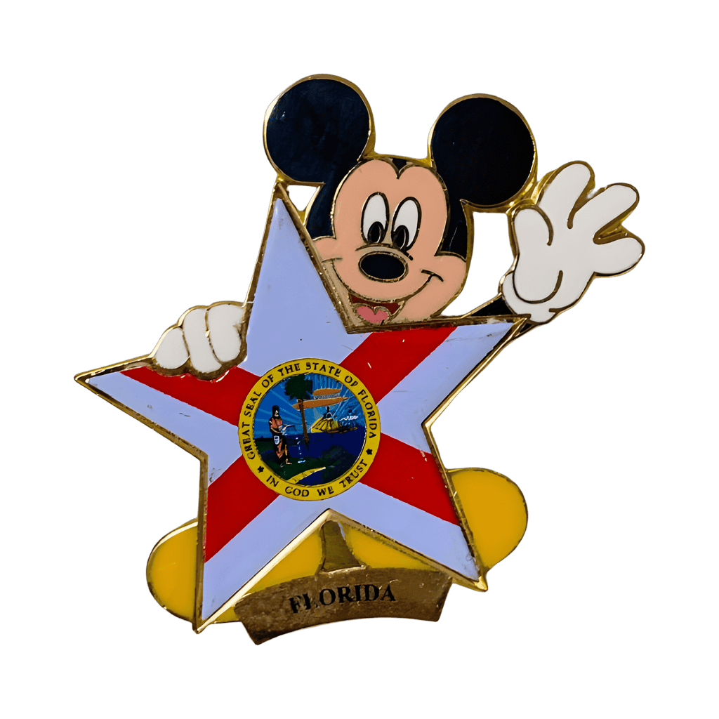 Florida Disney pin