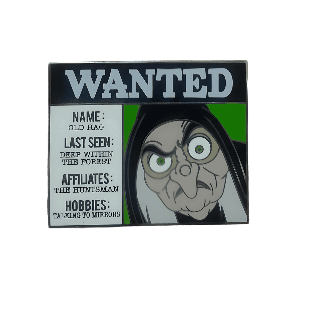 Old Hag Disney pin