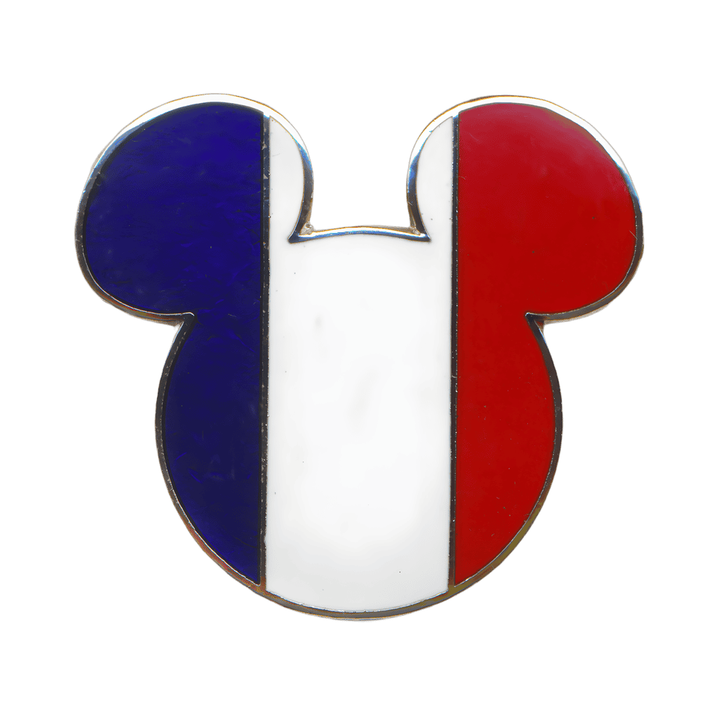 France Disney pin