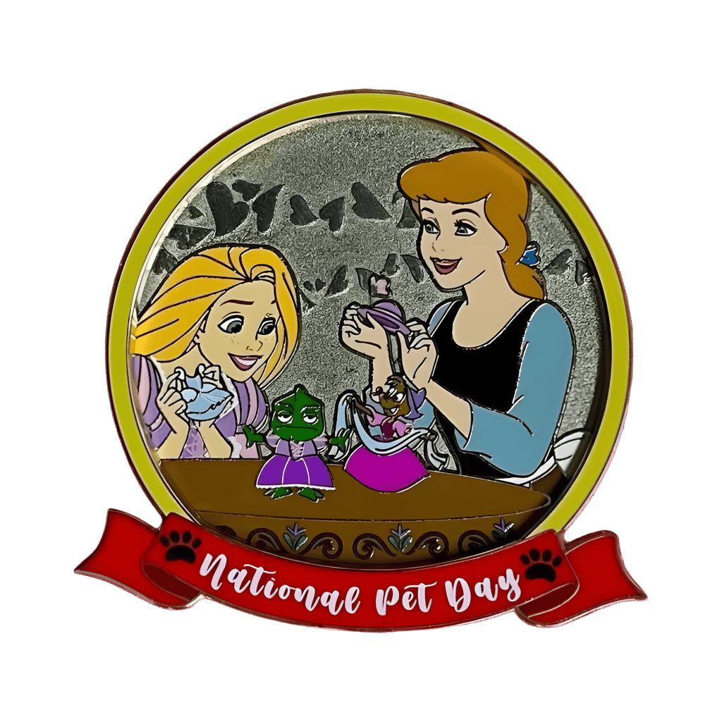 Rapunzel & Cinderella Disney pin