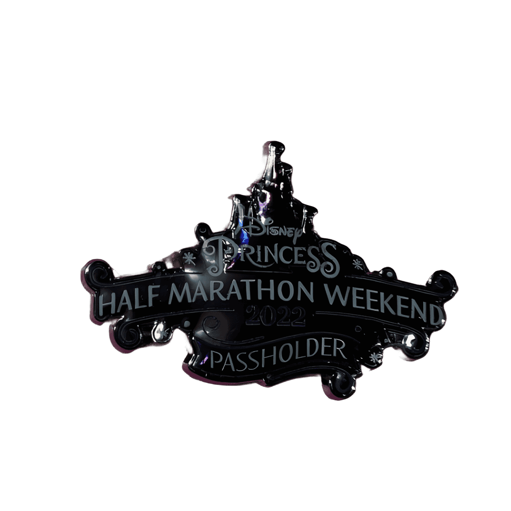 Passholder - 2022 Disney pin