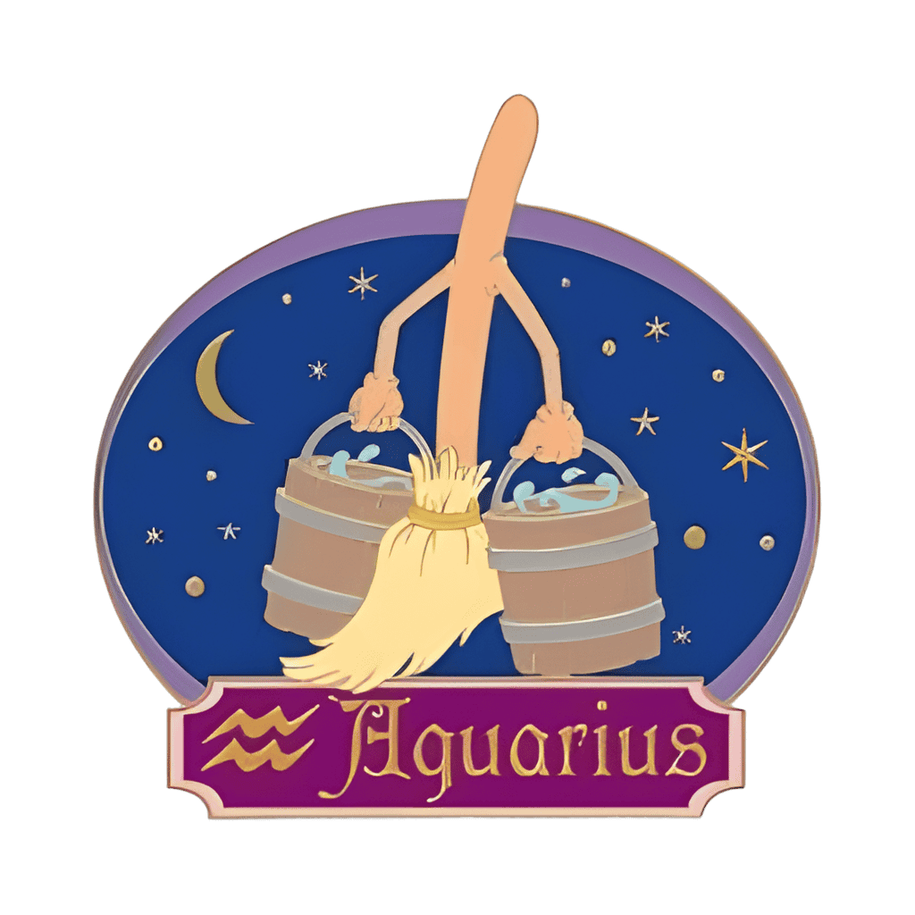 Broom and Aquarius Disney pin