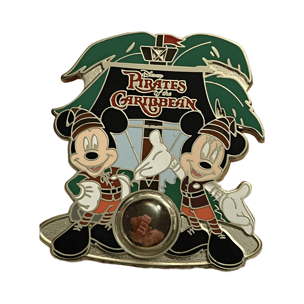 Pirates of the Caribbean Disney pin