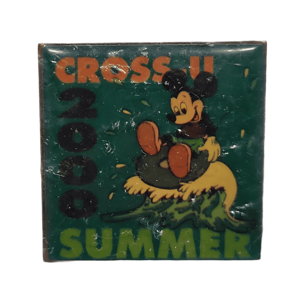 2000 - Summer Disney pin