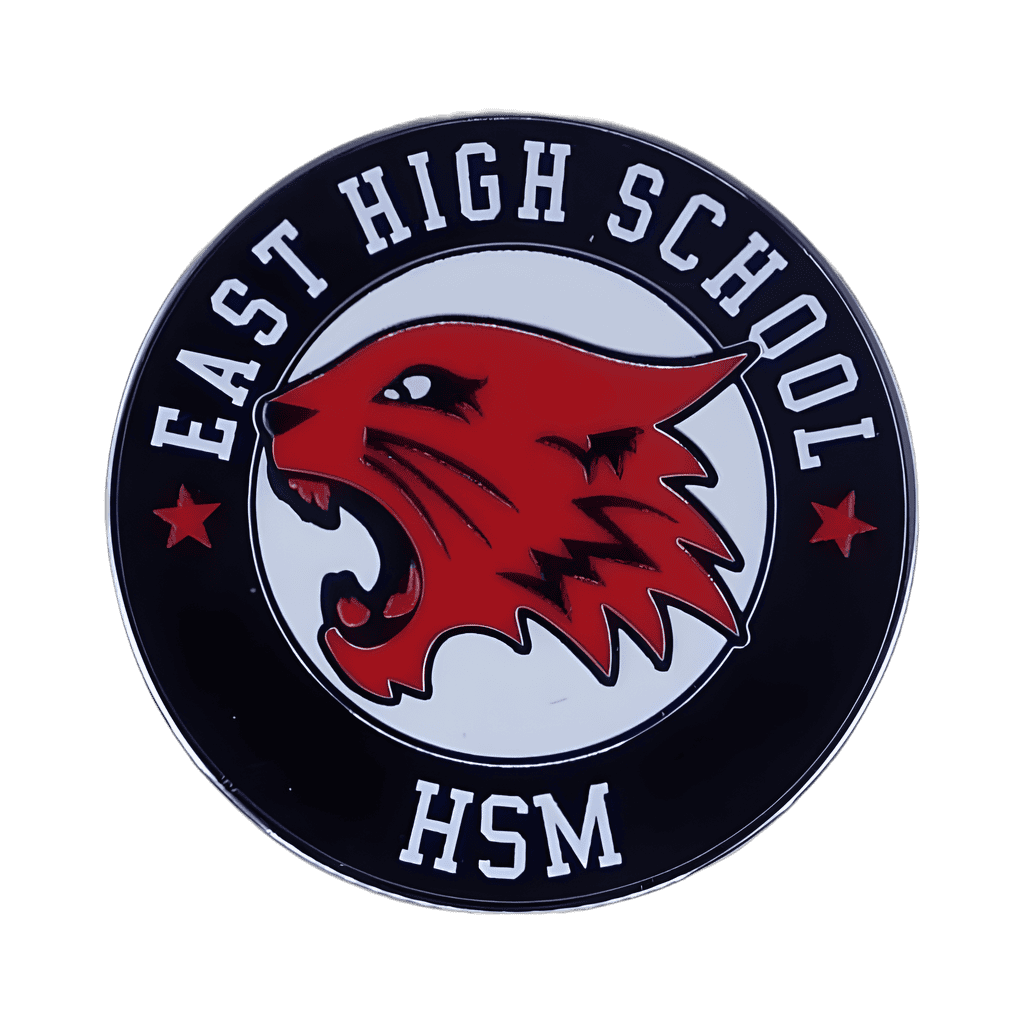 High School Musical Wildcat Disney pin