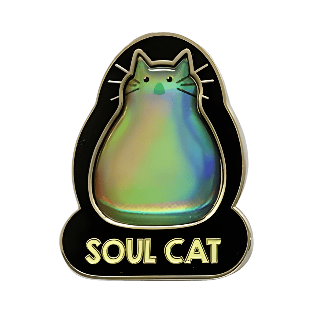 Soul Cat Disney pin