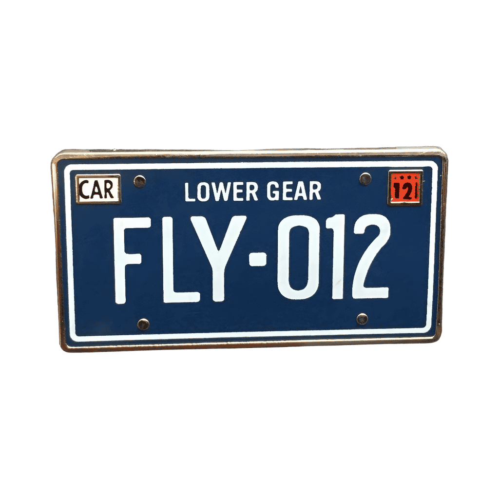 License Plate - FLY-012 Disney pin