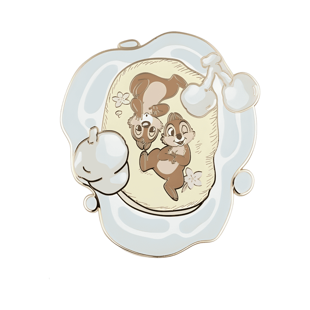 Chip and Dale Disney pin