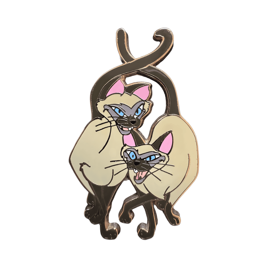 Si and Am Disney pin