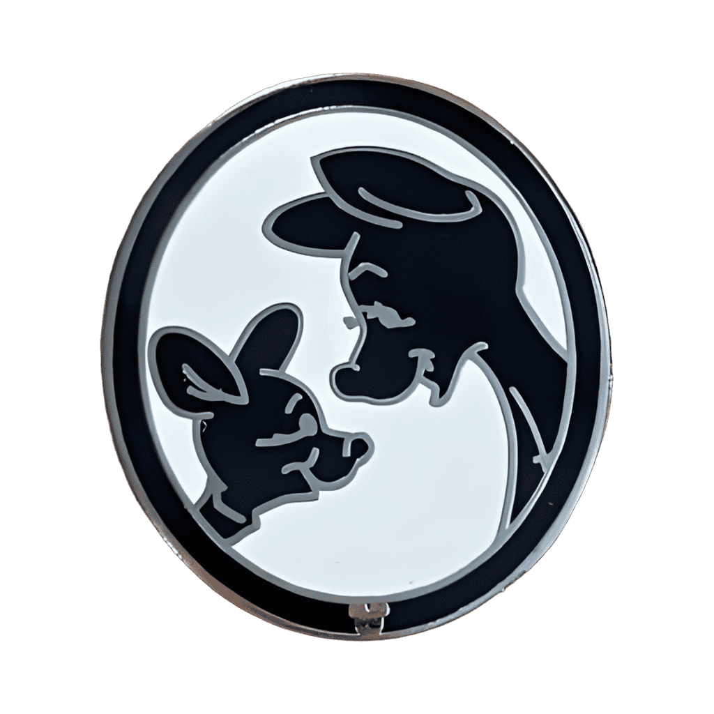 Kanga and Roo silhouettes Disney pin