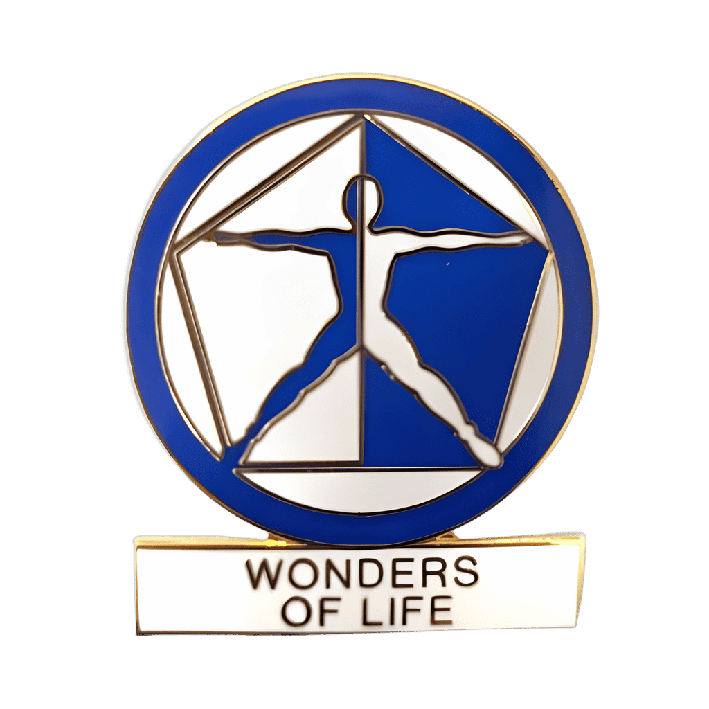 Wonders of Life Disney pin