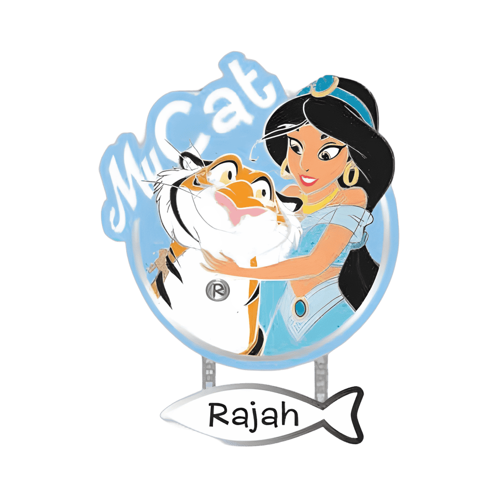 Jasmine and Rajah Disney pin