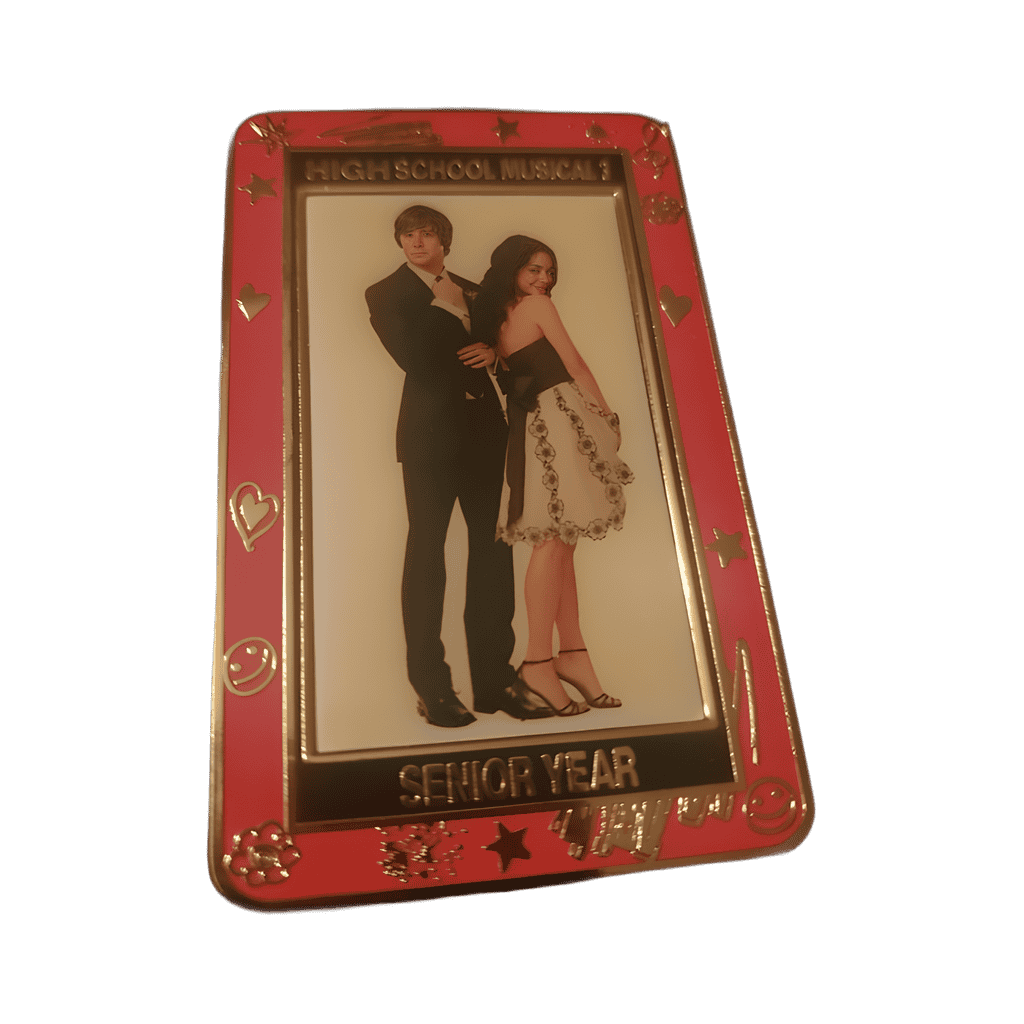 Troy and Gabriella Disney pin