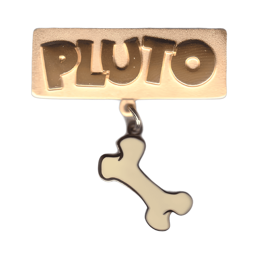 Pluto Disney pin