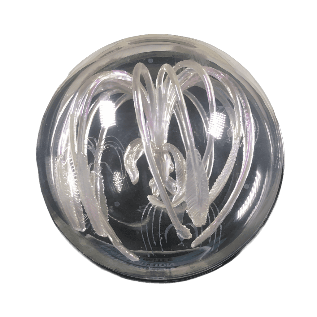 5th Anniversary — Acrylic Dome Woodsprite Disney pin