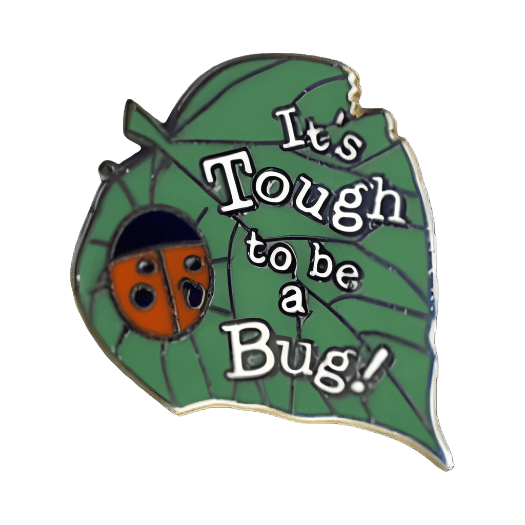Leaf & Ladybug Disney pin