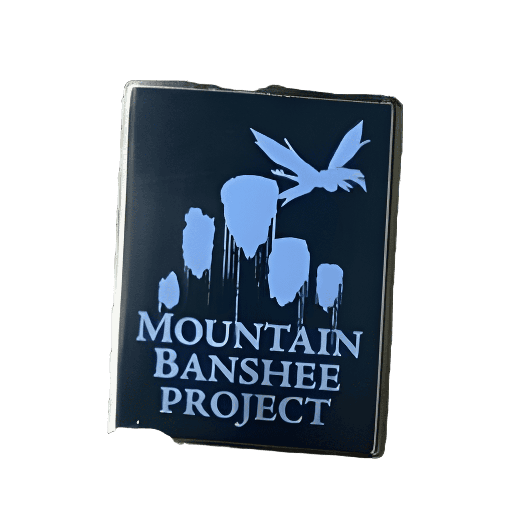 Mountain Banshee Project Disney pin