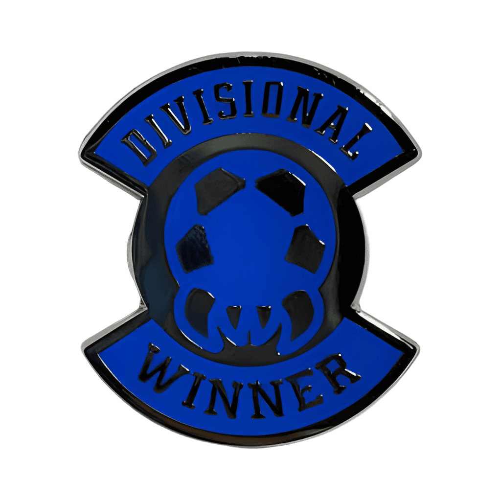 Divisional Winner Disney pin