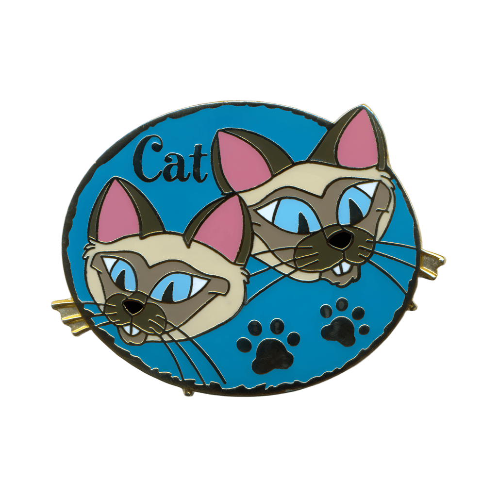 Si and Am Disney pin
