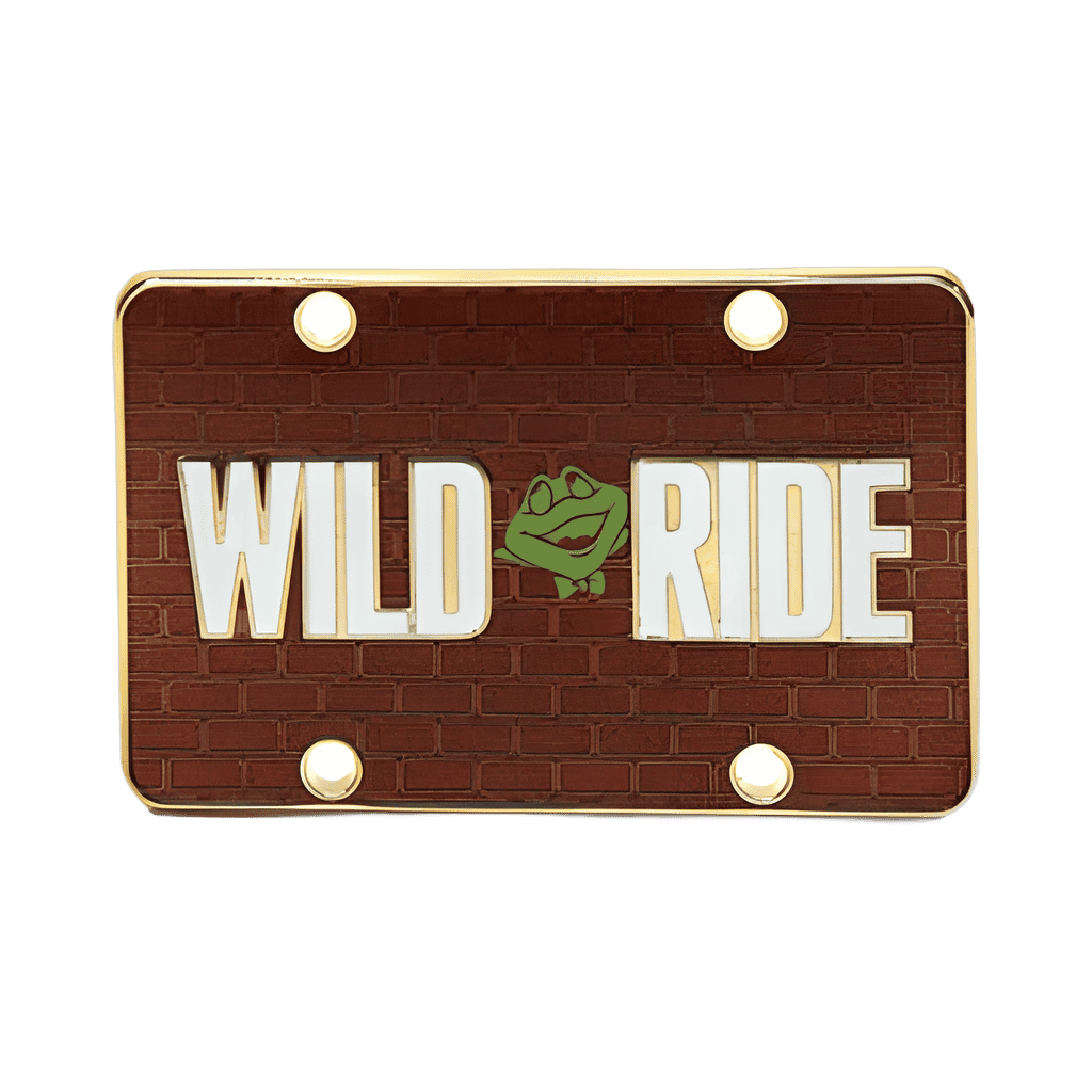 Wild Ride Disney pin