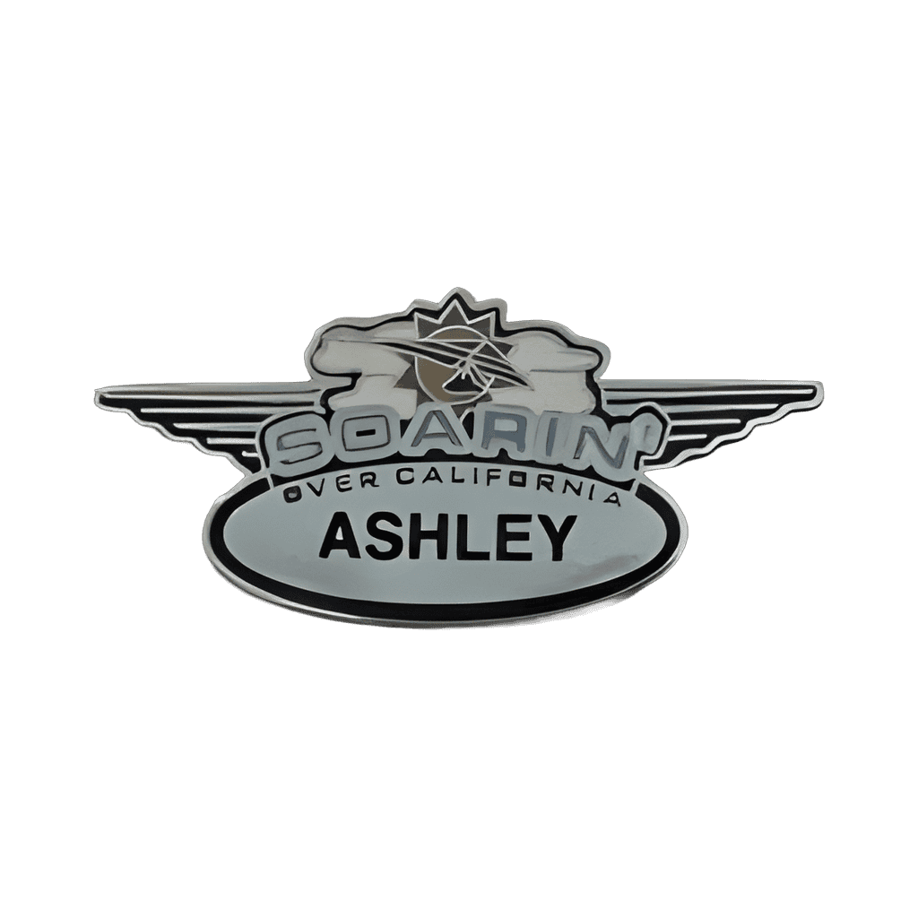 Soarin' Over California - Pilot Wings Disney pin