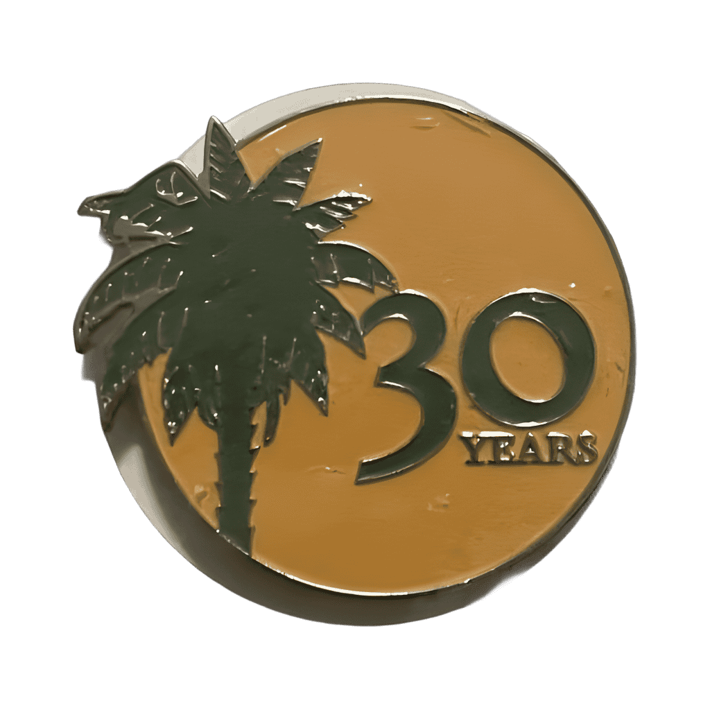 30 Years - Palm Tree and Sun Disney pin