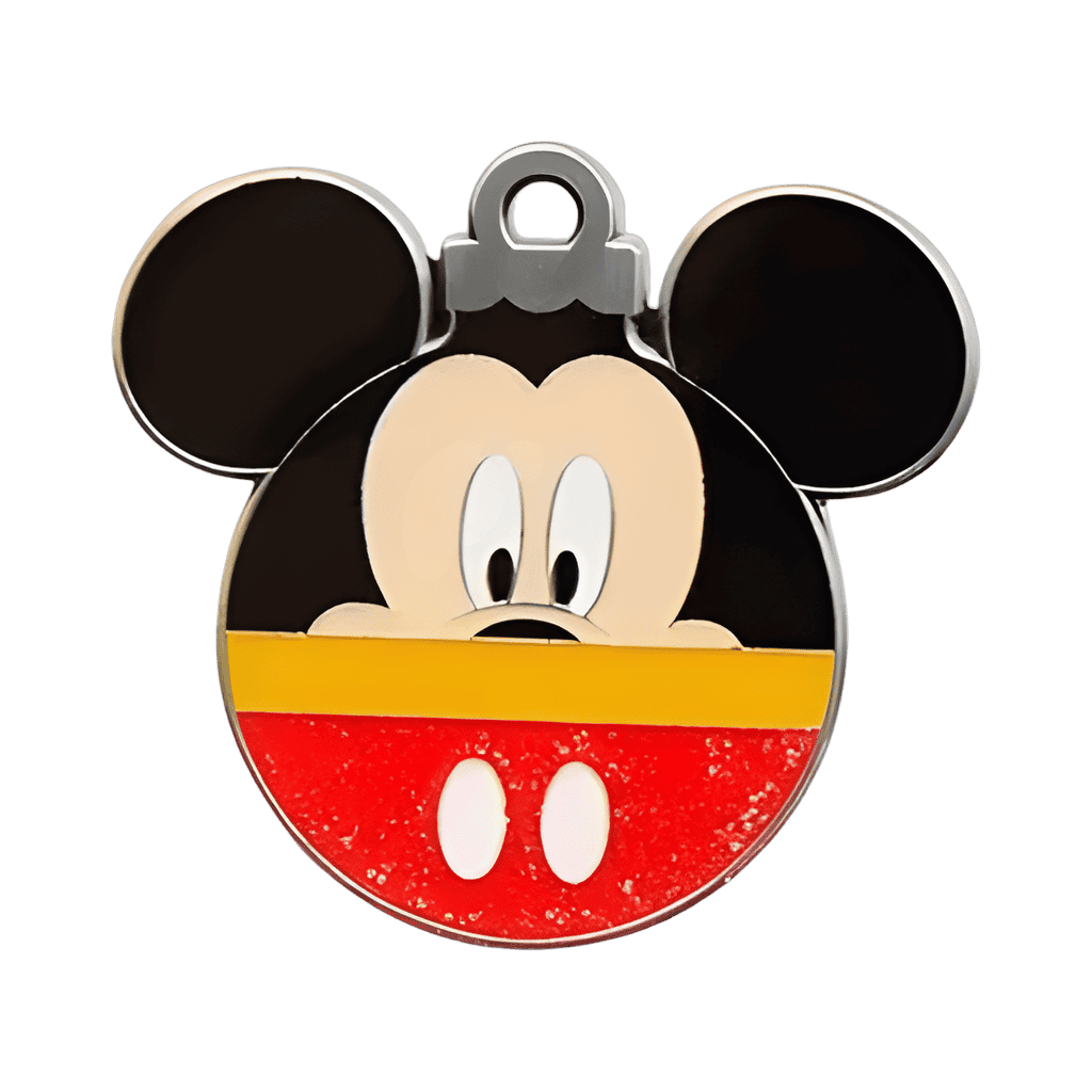 Mickey Disney pin