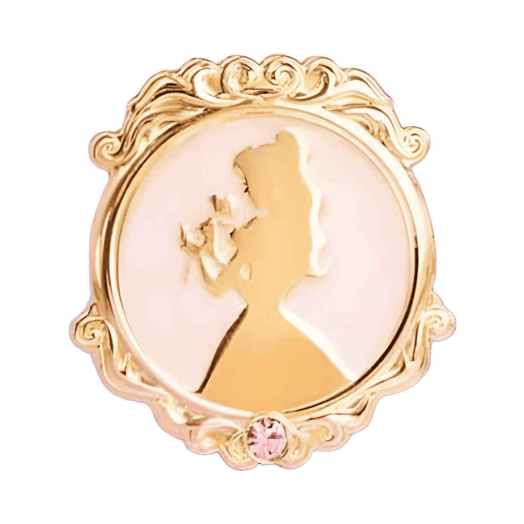 Belle Disney pin