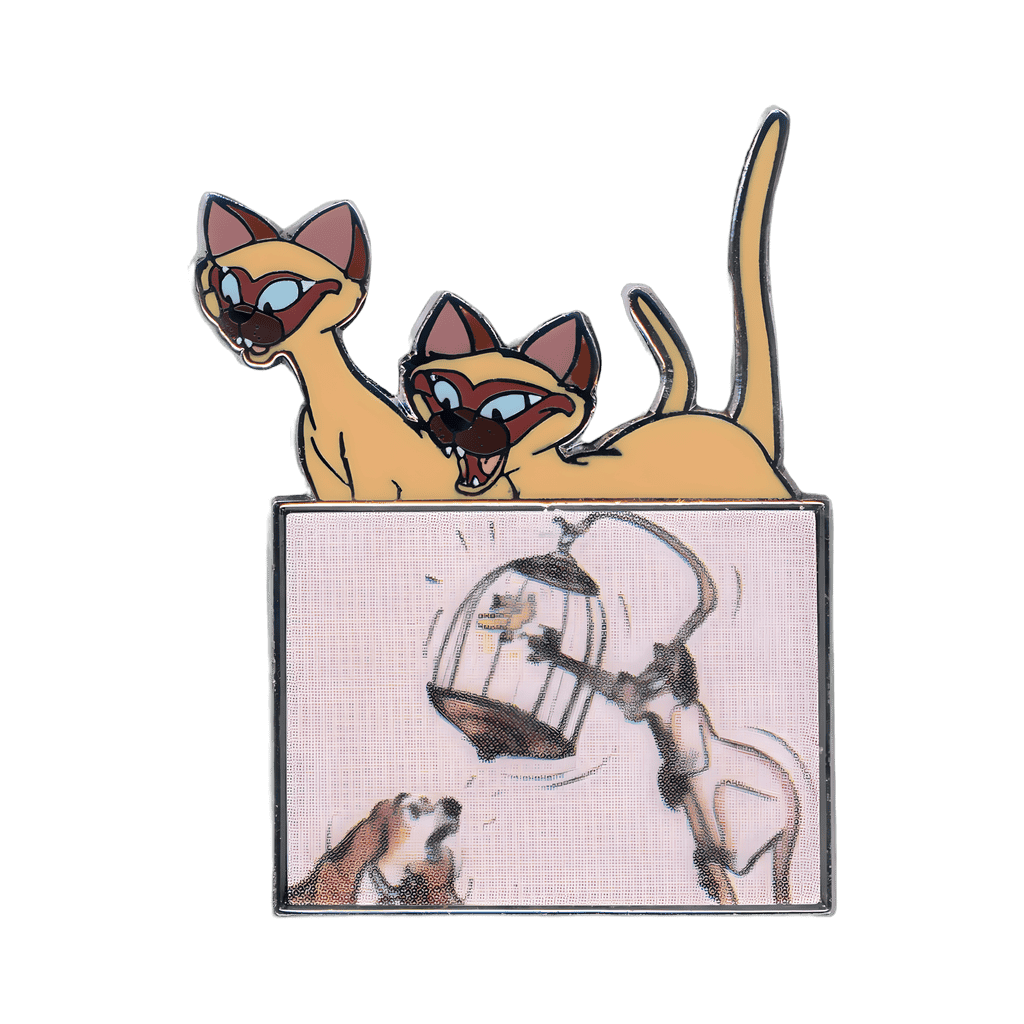 Si and Am Disney pin