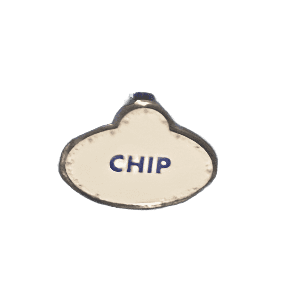 Cast Member Nametag - Chip Disney pin