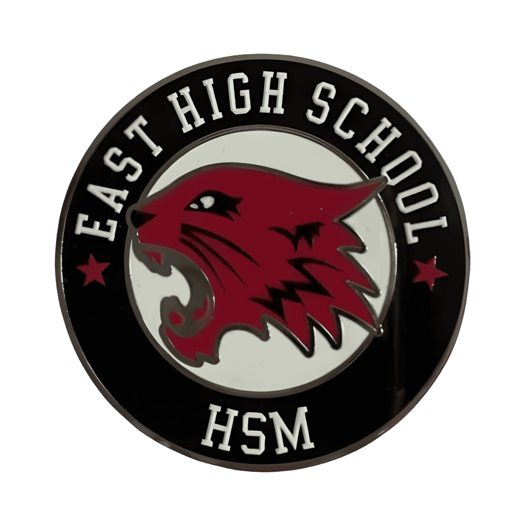 East High School HSM Disney pin