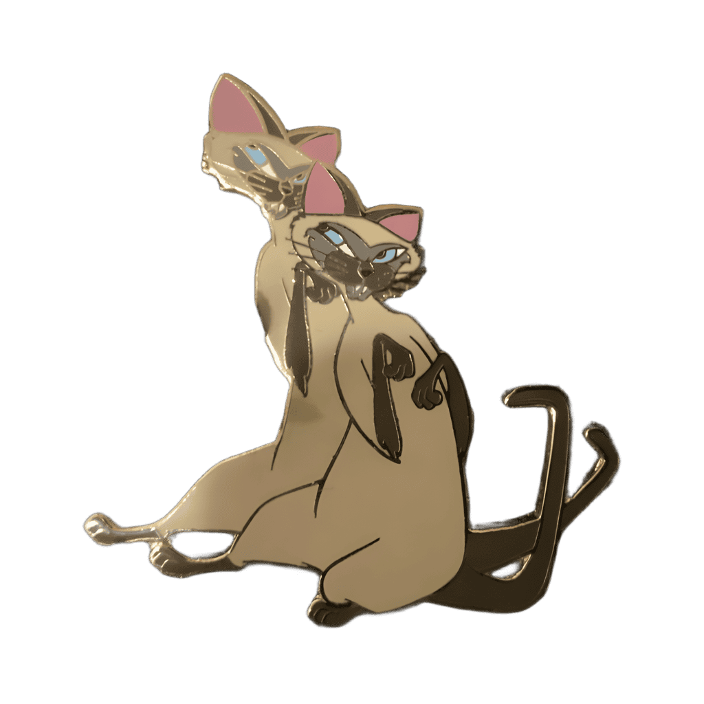 Si and Am Disney pin