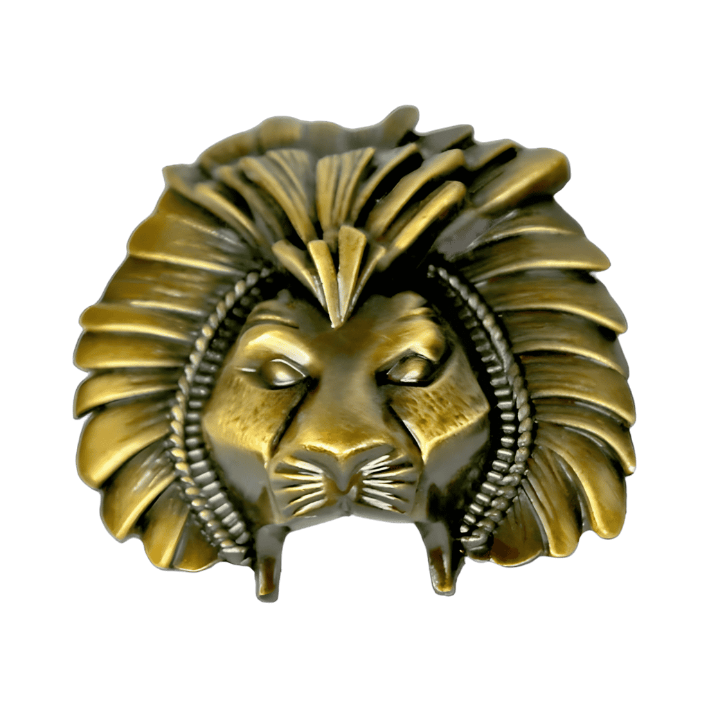 Mask Pin Set - Simba Disney pin
