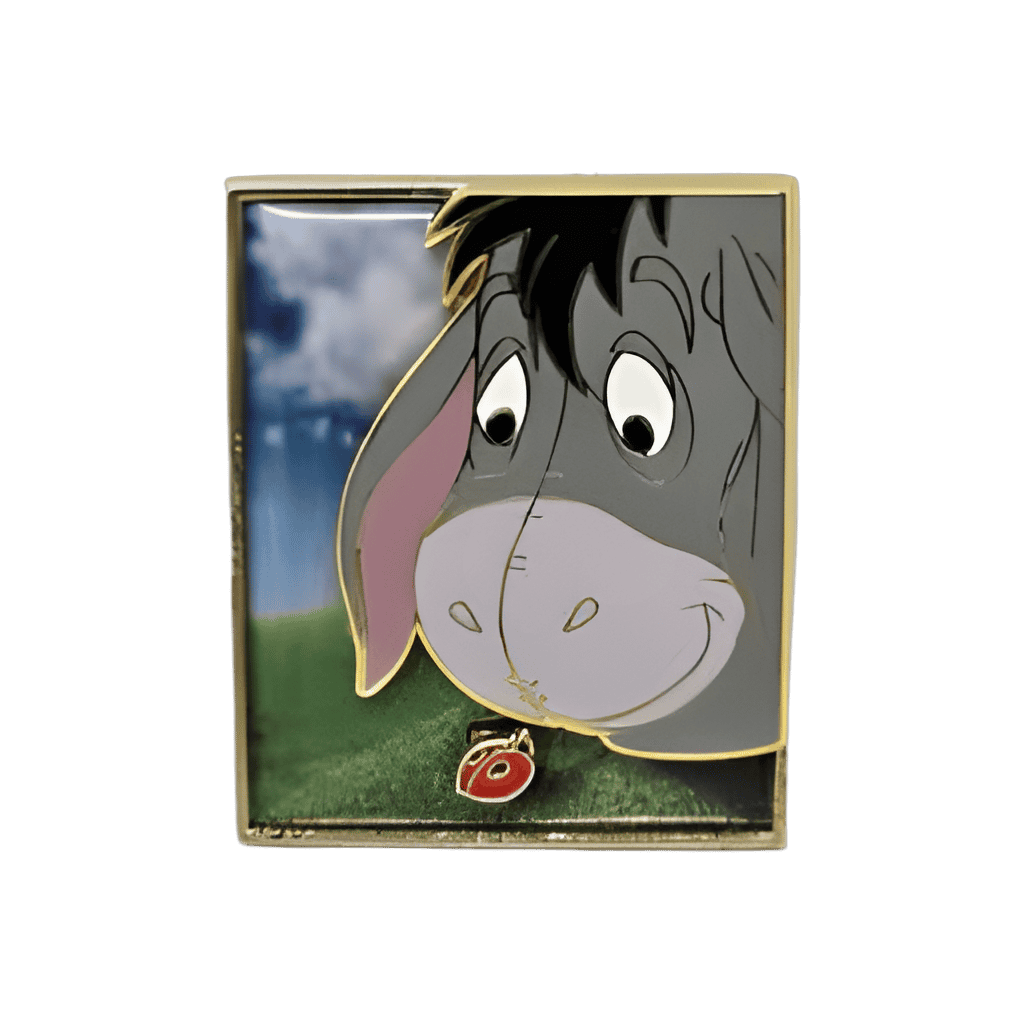 Eeyore and Ladybug Disney pin