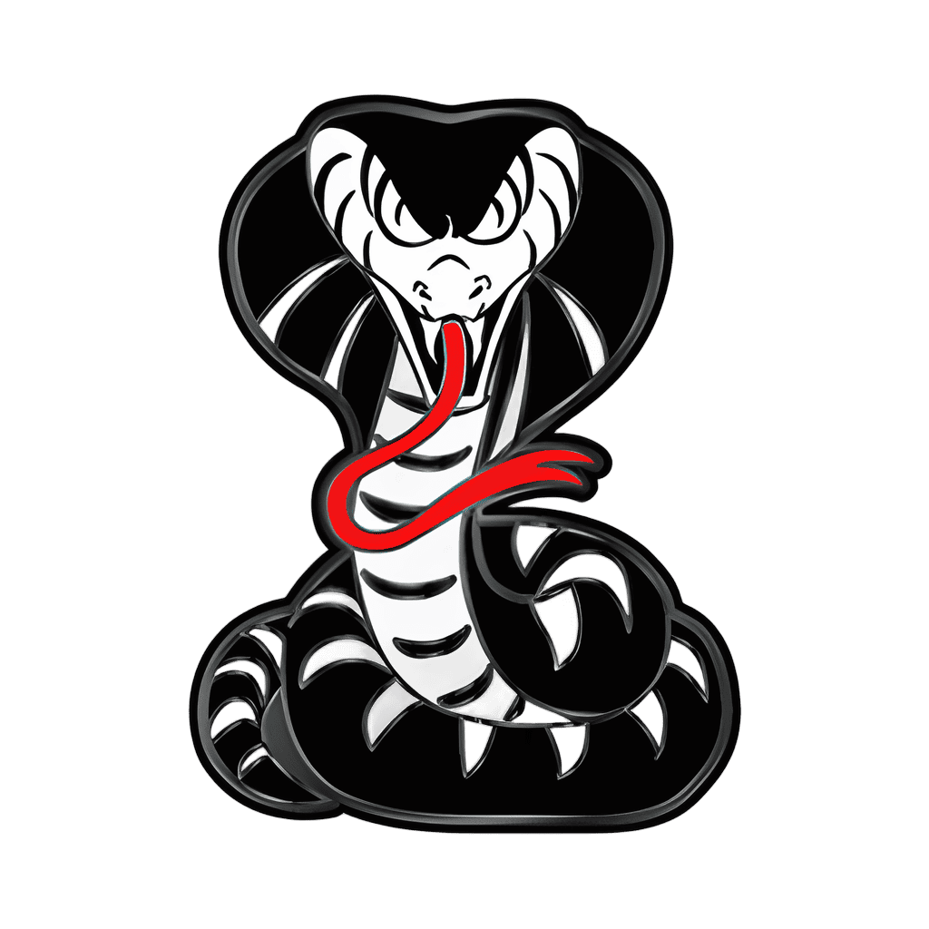 Jay's Symbol Disney pin