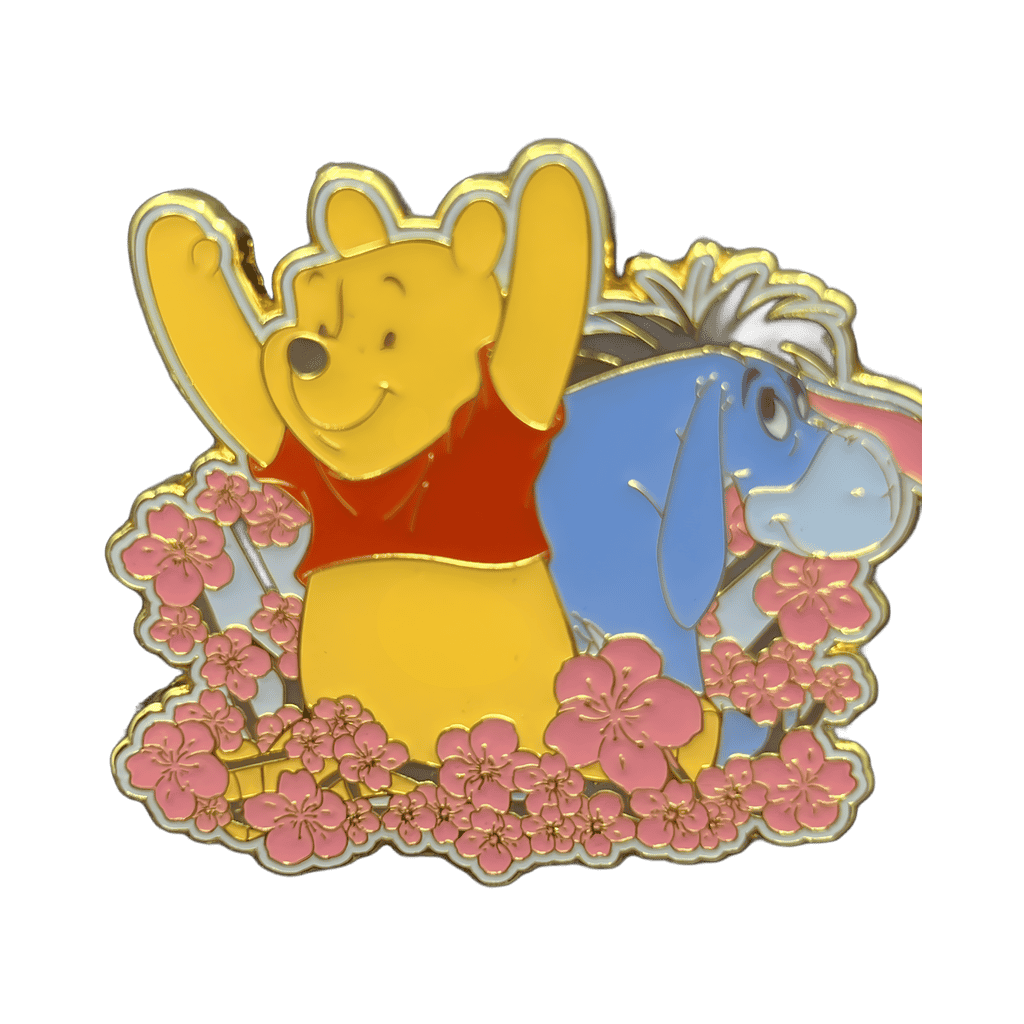 Pooh & Eeyore Disney pin