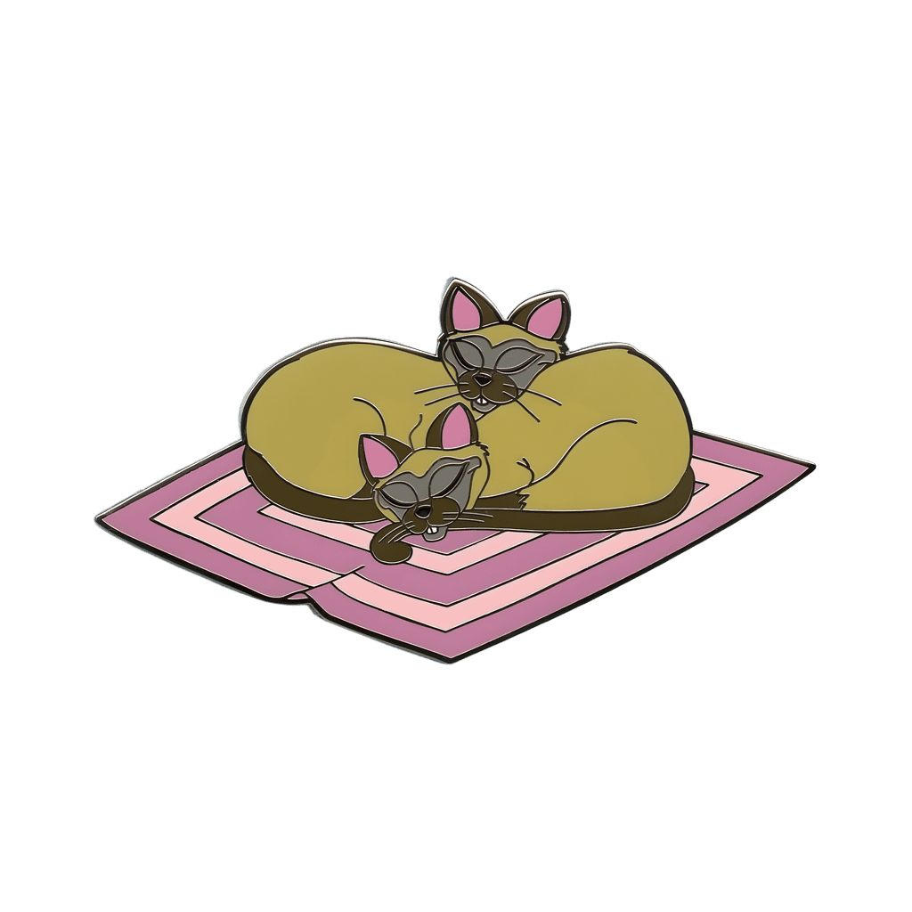 Si & Am Disney pin
