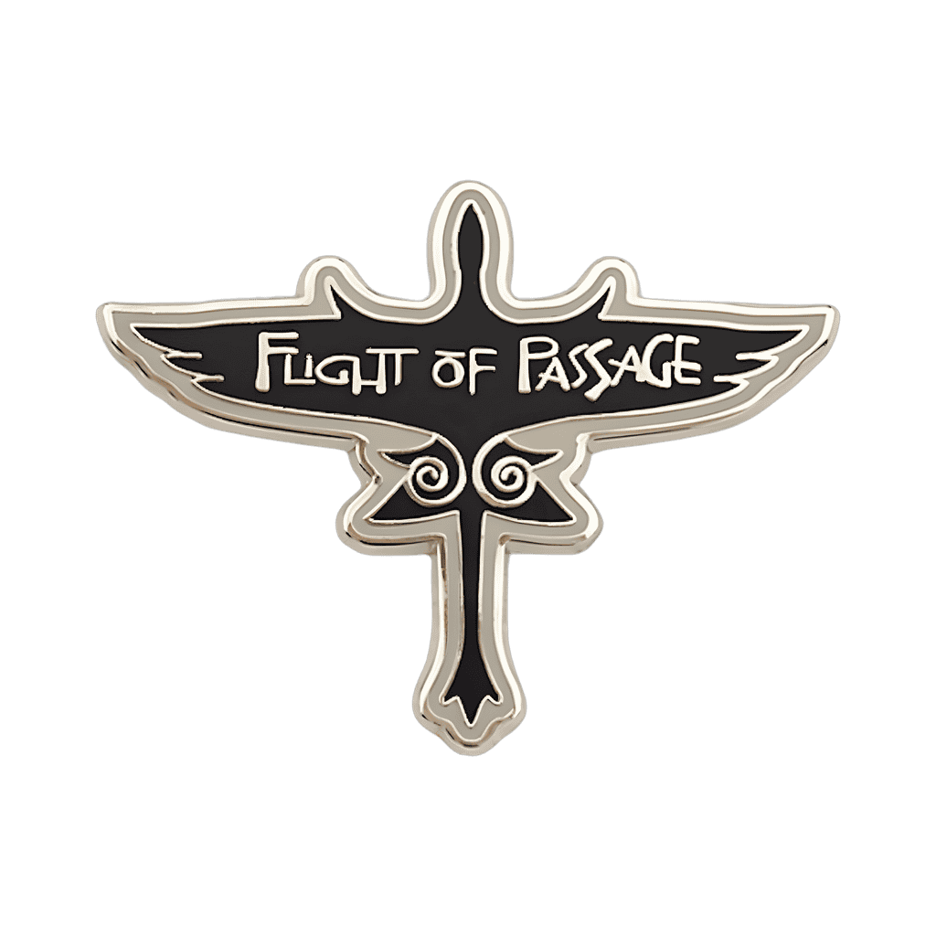Flight of Passage Disney pin