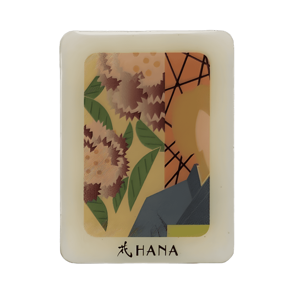 Hana Disney pin